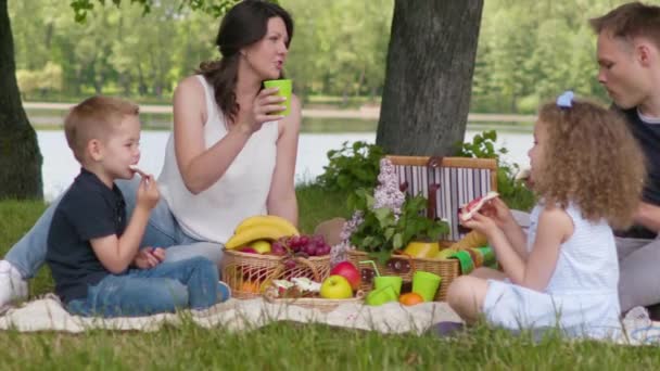 Ağır çekimde park güneşli bir çayır üzerinde yaz aylarında aile pikniği — Stok video