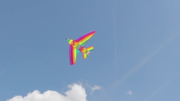 Kleurrijke vliegeren in de zomer hemel in slow motion — Stockvideo