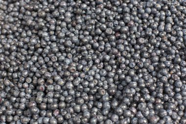 taze yaban mersini meyve renkli desen doku arka plan soyut