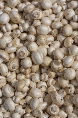 taze Champignon mantar meyve renkli desen doku arka plan soyut