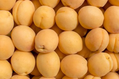 taze kayısı soyut meyve renkli desen doku arka plan