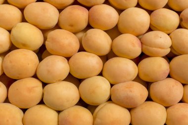 taze kayısı soyut meyve renkli desen doku arka plan