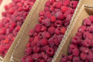 kutularındaki taze kırmızı olgun ahududu meyve renkli desen doku arka plan soyut