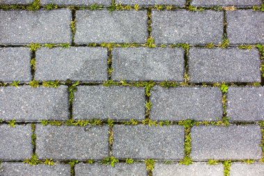 beton kiremit çim desen doku arka plan ile bir yol