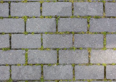 beton döşeme desen doku katmanı Çimler uzuyor