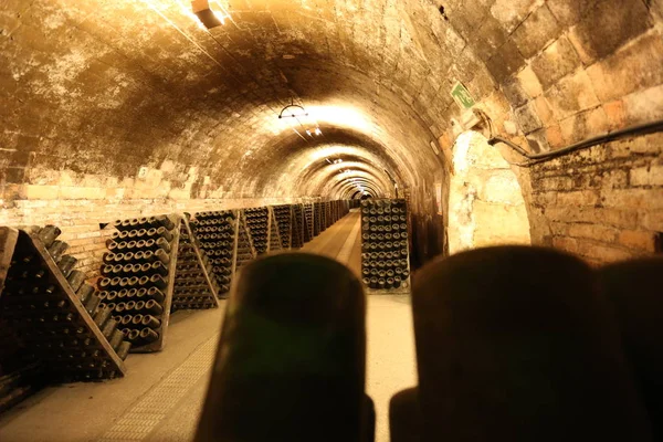 Şarap mahzeni şişelerde şişeleme