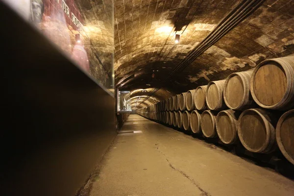 Fila de barricas viejas para criar vino en la bodega — Foto de Stock