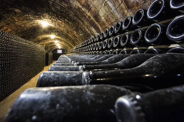 Filas de botellas de vino en la bodega — Foto de Stock