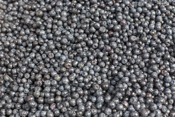 taze yaban mersini meyve renkli desen doku arka plan soyut