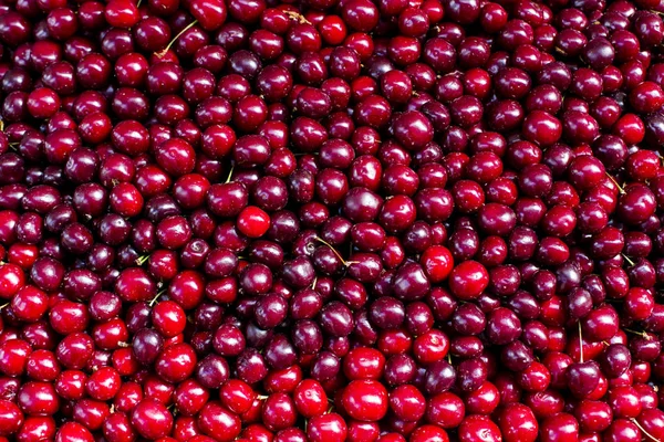 Świeży cherry red berry owoców streszczenie kolorowy wzór tekstury tło — Zdjęcie stockowe