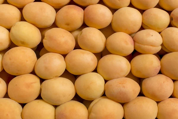 taze kayısı soyut meyve renkli desen doku arka plan