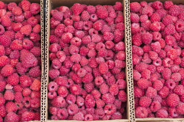 kutularındaki taze kırmızı olgun ahududu meyve renkli desen doku arka plan soyut