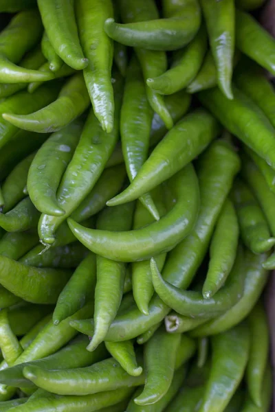 taze yeşil clilli soyut meyve renkli desen doku arka plan