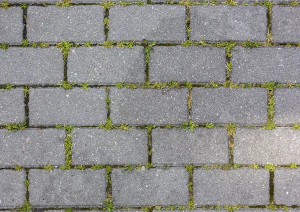 beton döşeme desen doku katmanı Çimler uzuyor