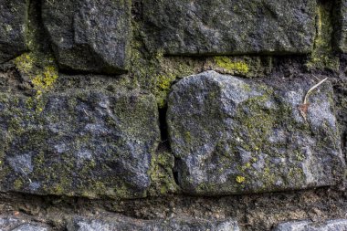 moss desen doku arka plan makro çekim taşlarla