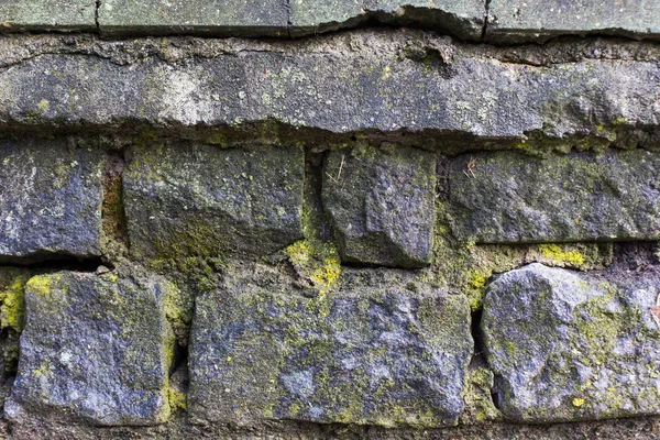 돌 이끼 패턴 질감 배경 벽 — 스톡 사진