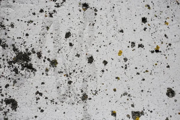 Soyut taş desen doku arka plan yüzey — Stok fotoğraf