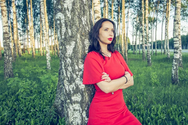 Una chica con los labios rojos en un vestido rojo está de pie en un estilo de moda de abedul arboleda — Foto de Stock