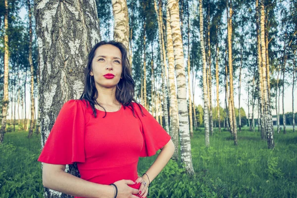 Una mujer embarazada con labios rojos en un vestido rojo está de pie en un bosque de abedules y sonríe soñando — Foto de Stock