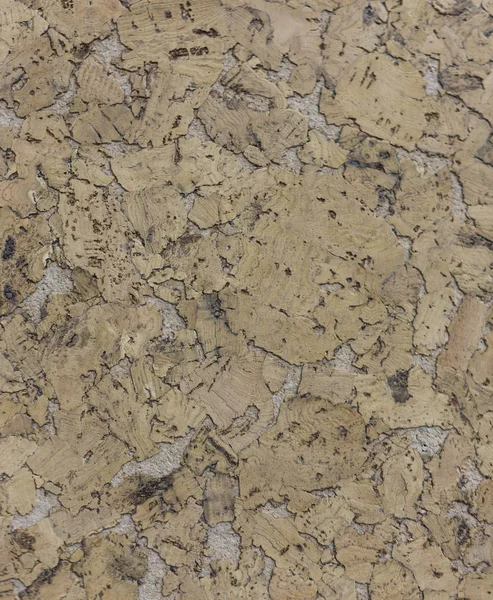 Kahverengi Mantar ahşap tahta abstractpattern doku arka planını kapandı