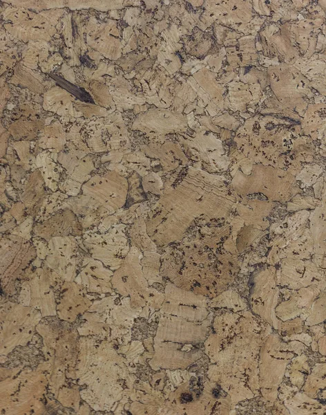 Kahverengi Mantar ahşap tahta abstractpattern doku arka planını kapandı