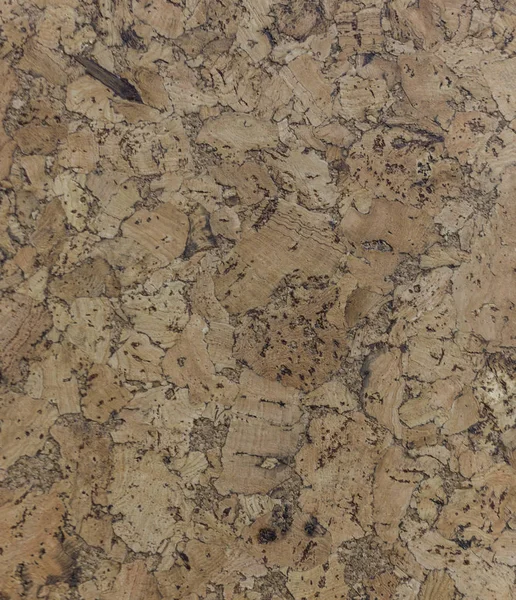 Kahverengi mantar pano abstractpattern doku arka planını kapandı