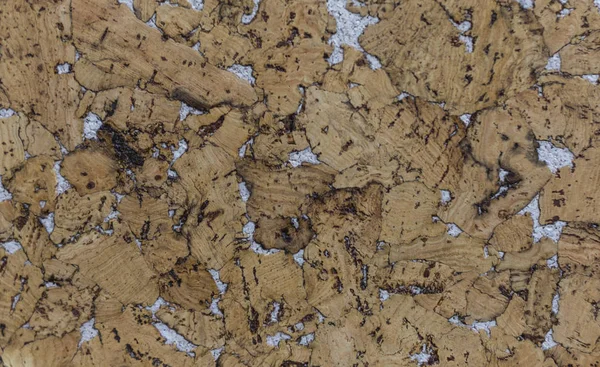 Kahverengi mantar pano abstractpattern doku arka plan kırmızı ile kapalı