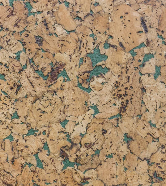 Kahverengi mantar pano abstractpattern doku arka plan yeşil ile kapalı