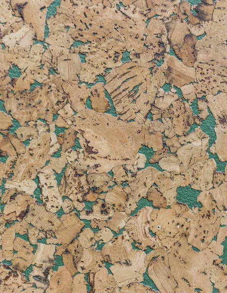 Kahverengi Mantar ahşap tahta abstractpattern doku arka planını kapandı