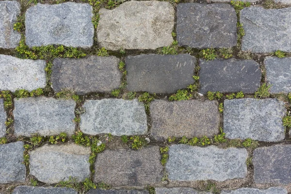 Gri taş soyut desen doku arka plan