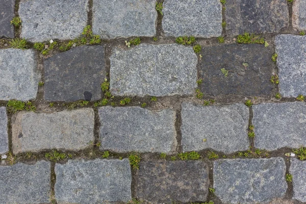 Gri taş soyut desen doku arka plan