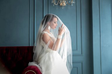 muhteşem, zarif, Genç gelin peçe portre kırmızı dudaklar ile altında poz vintage beyaz elbiseli. Gelin portre düğün makyaj ve saç, moda gelin. Güzel gelin peçe