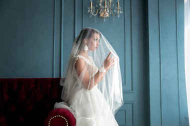 Portre Studio kırmızı dudaklar ile peçe altında poz vintage beyaz elbiseli esmer gelinin muhteşem, zarif, Genç vurdu. Gelin portre düğün makyaj ve saç, moda gelin. Güzel gelin