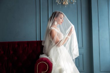 Muhteşem, zarif, Genç esmer gelin peçe portre kırmızı dudaklar ile altında poz vintage beyaz elbiseli portre vurdu. Gelin portre düğün makyaj ve saç, moda gelin. Güzel gelin