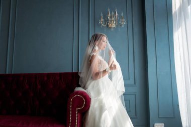 Muhteşem, zarif, Genç esmer gelin peçe portre vintage iç kırmızı dudaklar ile altında poz vintage beyaz elbiseli portre vurdu. Gelin portre düğün makyaj ve saç, moda gelin