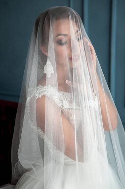 Muhteşem, zarif, Genç esmer gelin peçe portre kırmızı dudaklar ile altında poz vintage beyaz elbiseli portre vurdu. Gelin portre düğün makyaj ve saç, Küpe moda gelin