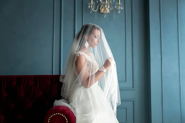 Casamento Closeup tiro de linda, elegante, jovem noiva morena em vestido branco vintage posando sob o véu closeup com lábios vermelhos. Retrato de noiva maquiagem casamento e penteado, noiva de moda. Lindo. — Fotografia de Stock