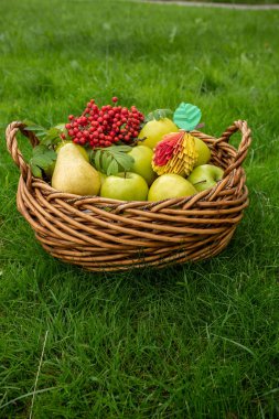 Sonbahar Apple hasat arka plan Kavramı, yeşil çim üzerinde hasır sepet, kırmızı çilek ile üst görünüm papercraft origami sanat