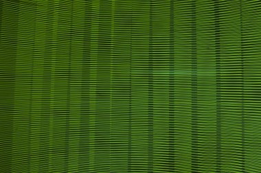 soyut uzun pozlama bulanık ışık çizgileri siyah ve yeşil arka plan. Geometrik şekiller