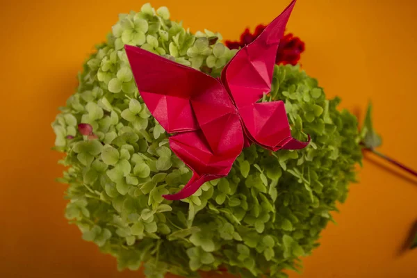 Origami mariposa en un arbusto verde en una canasta sobre un fondo de color hermoso ramo de estudio de cerca tiro en naranja — Foto de Stock