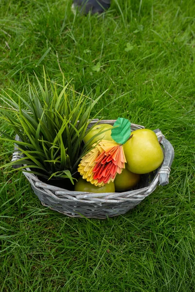 Fundo da colheita da maçã, cesta de vime na grama verde, vista superior arte de origami de papelaria com bagas vermelhas — Fotografia de Stock