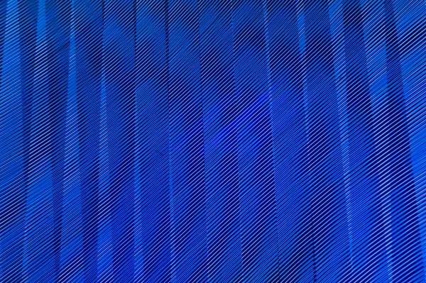 Abstrata exposição longa linhas de luz borradas fundo preto e azul. Formas geométricas — Fotografia de Stock