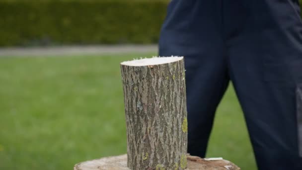 Madera de leña caucásica cortando madera para el invierno con un hacha — Vídeo de stock