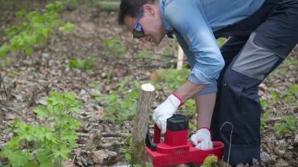 Gözlüklü oduncu ormanda elektrikli testereyle ağaç keser. — Stok video
