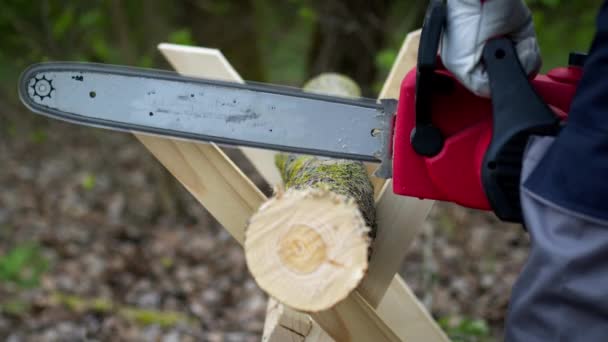 Lumberjack in gloves saws firewood on sawhorses with a electric saw in forest — Stock Video