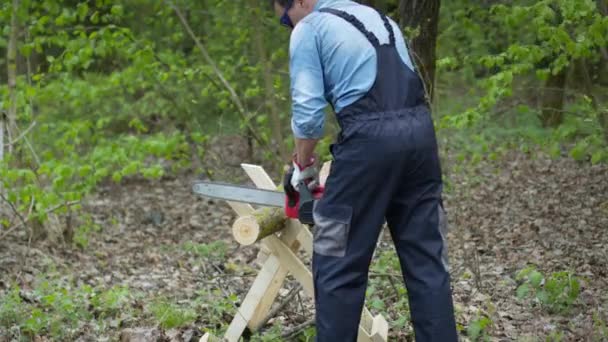 Lumberjack in workwear and goggles saws tree trunks in forest with electric saw — Stock Video