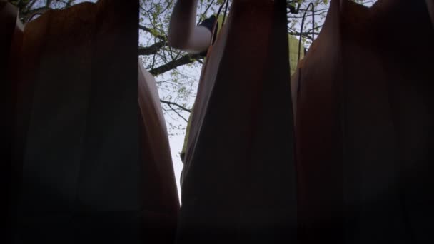 L'homme sort des sacs en papier écologique avec des produits d'épicerie du supermarché du coffre de la voiture. — Video