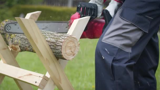 Caucasian man in gloves saws firewood with electric saw at home site. Close-up — Stock Video