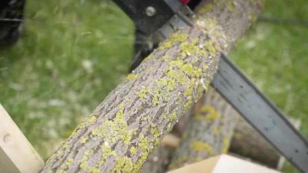 Homme caucasien scie bûches en bois sur sawhorses avec une scie électrique. — Video