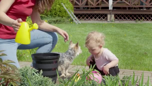 Mãe jardinagem divirta-se com sua pequena criança bebê, regando plantas juntas — Vídeo de Stock